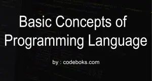 Basic Concepts of Programming