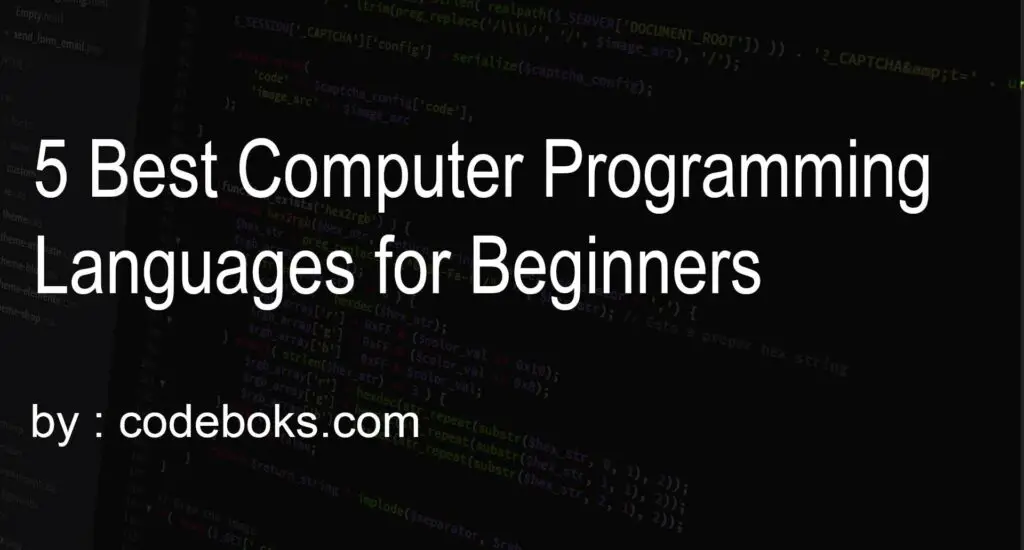 5 Best Computer Programming Languages for Beginners